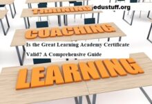 Great Learning Academy